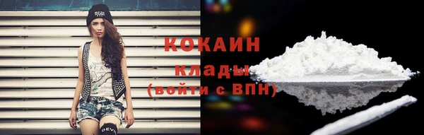 твердый Богородск