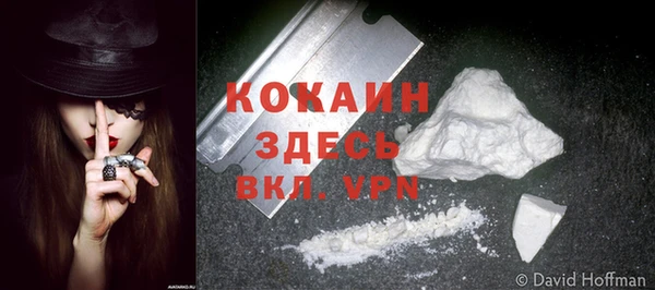 COCAINE Богородицк