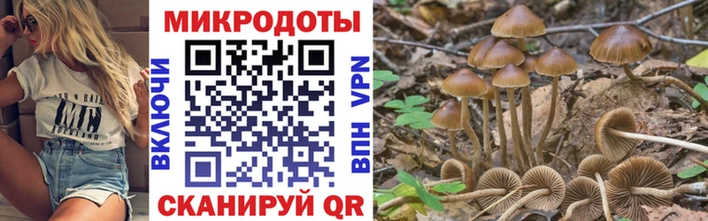 Галлюциногенные грибы Cubensis  Бугуруслан 